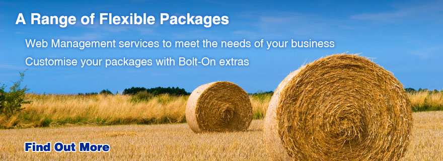 Our full range of business web management packages