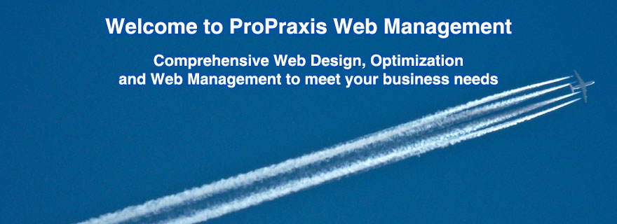 ProPraxis Web Management Leicester
